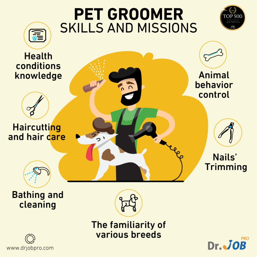 Pet Grooming Jobs In Abu Dhabi: Skills, Mission, And More - Career Tips