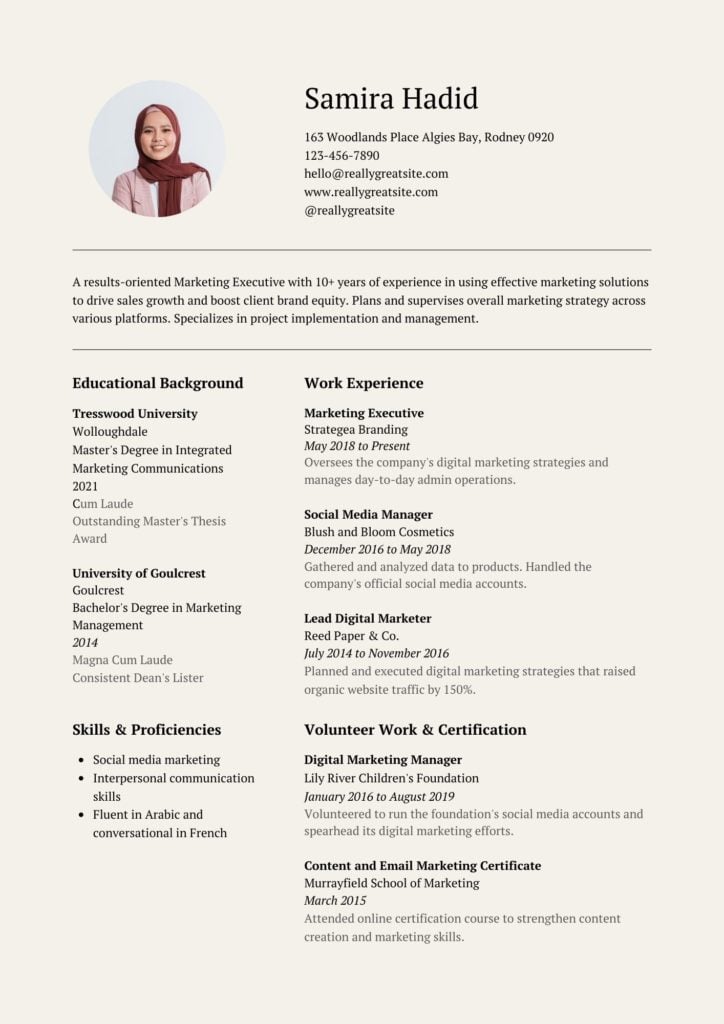 Professional CV Template 1