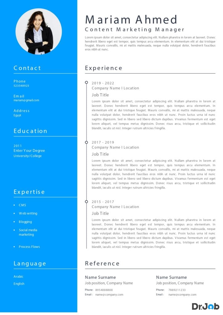 Modern CV Template - Best CV Format for 2023