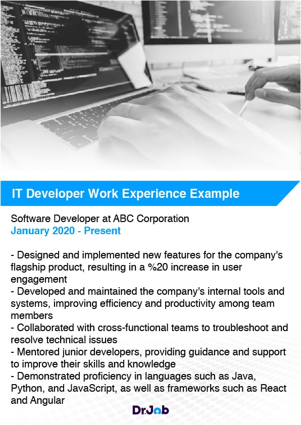 IT Developer Work Experience Example