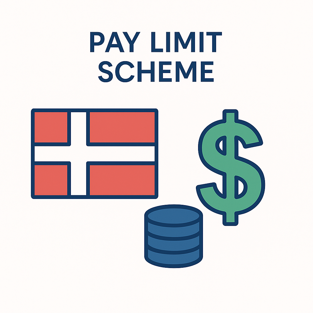 Simple flat-vector icon in Dr. Job colors symbolizing Denmark’s Pay Limit Scheme for high-salary work permits.