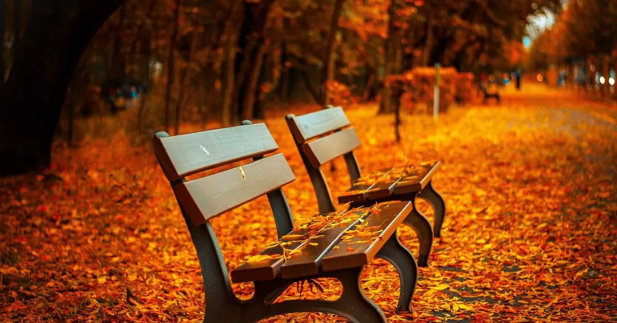 How to Get a Job in Canada 2026 — Step-by-Step Guide
